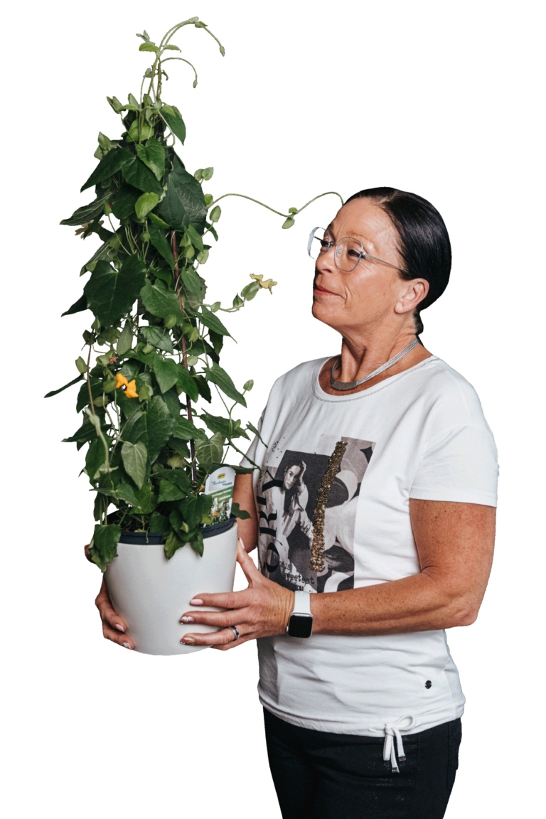 Claudia Schachl